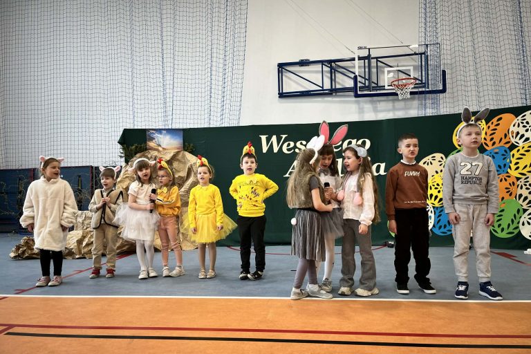 56536925-a797-407c-a547-29f147c8753b