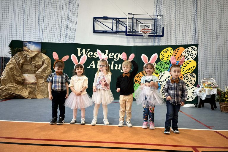 96228e37-01fd-408d-8cdb-7f5492a3270c