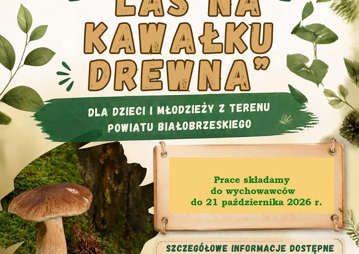 KONKURS PLASTYCZNY (3)